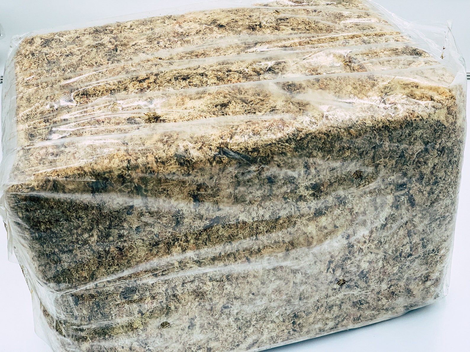 download sphagnum moss for free download sphagnum moss for free