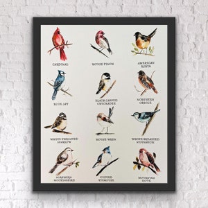 Impresión con etiquetas de acuarela de especies de aves silvestres, póster de arte de aves de América del Norte, arte de pared ilustrado de All the Birds