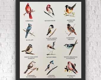 May include: A watercolor illustration of 12 common North American birds. Each bird is depicted with its name below it. The birds include a cardinal, house finch, American robin, blue jay, black-capped chickadee, northern oriole, white-throated sparrow, house wren, white-breasted nuthatch, northern mockingbird, tufted titmouse, and mourning dove.