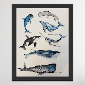 アラスカ クジラ 親子 水彩画★ メアリー・クロクストン ★大判 高橋怜子_アリス_Reiko takahashi@水中写真 on X: 