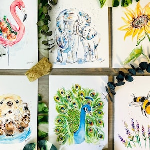 Blank Watercolour Bright and Cheerful Animal and Bird Cards, Pack of 6 Watercolor Note Cards, Sea Otter Card, Peacock Card, Flamingo Card