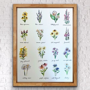 Labeled Watercolour Wildflower Print, Most Popular North American Wildflower Illustrated Art Print, Botanical Watercolour Listed Wall Art