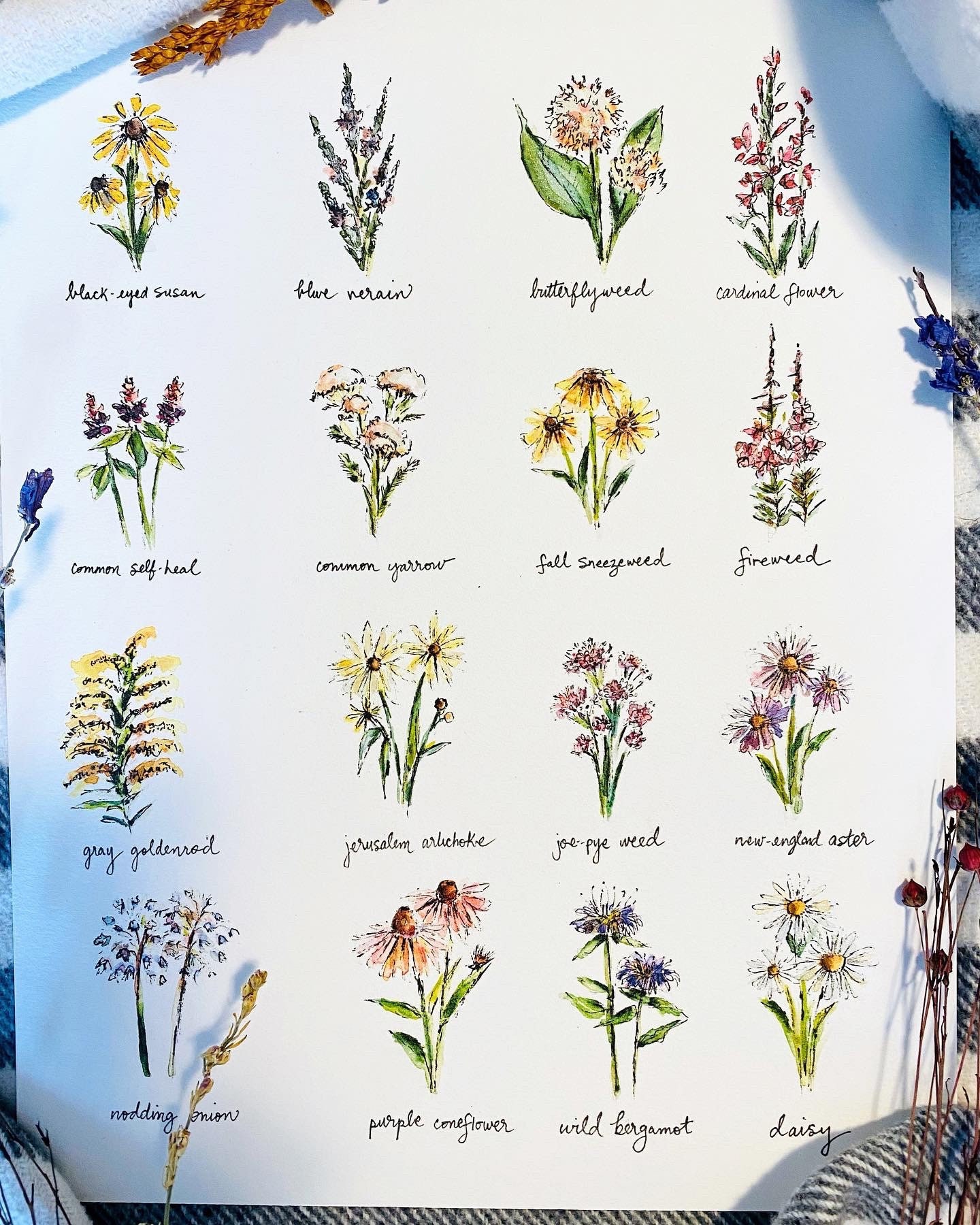 Labeled Watercolour Wildflower Print, Most Popular North American