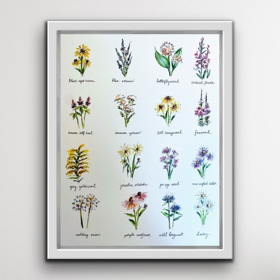 Labeled Watercolour Wildflower Print, Most Popular North American