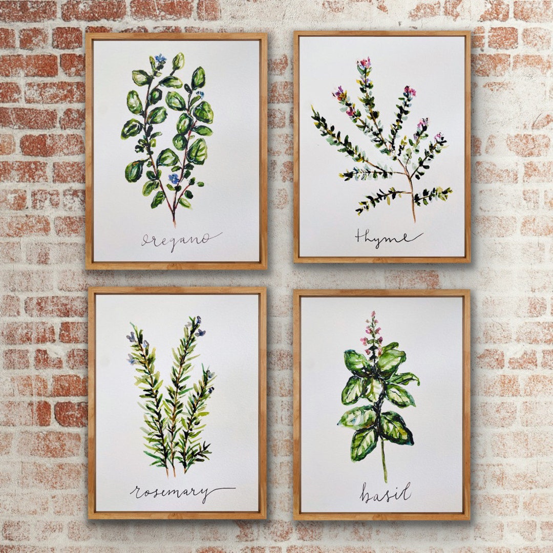 botanical herb prints set of 4 unframed botanical herb... Set of Four Botanical Herb Print, Rosemary Oregano Basil and Thyme ...