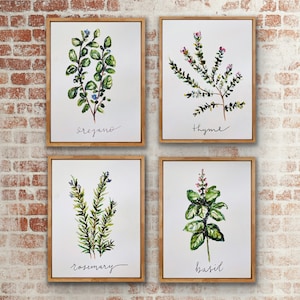 May include: Four framed watercolor paintings of different herbs. Each painting features a single herb with its name written below: oregano, thyme, rosemary, and basil.