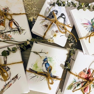 Lot de 6 cartes Oiseau de l'Ontario, carte mésange, carte cardinal, carte moineau, carte rouge-gorge, voeux colibri, lot de 6
