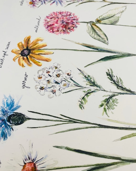 Botanical Watercolour Labeled Wildflower Print, Long Stemmed