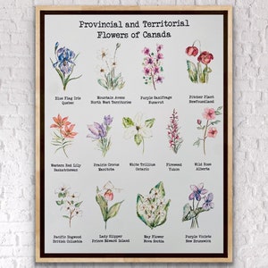 Provincial And Territorial Florals Of Canada Print, Labelled Flowers of Canadian Provinces Print, Watercolour Flowers Canada