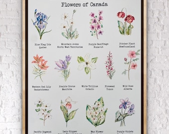 Provincial And Territorial Florals Of Canada Print, Labelled Flowers of Canadian Provinces Print, Watercolour Flowers Canada