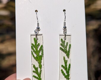 Fall pine winter pressed flower earrings, pine tree earrings
