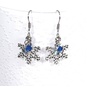 Winter Snowflake Earrings