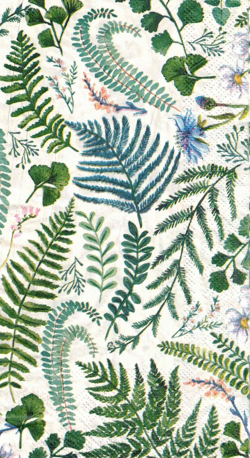 Botanical Leaves Fern Leaf Paper Napkins Inspire Your Decoupage Oyster