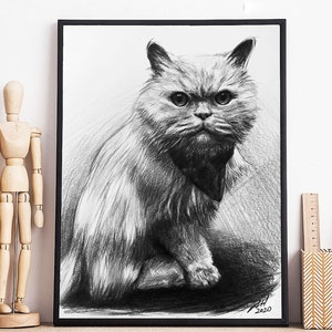 May include: Black and white pencil drawing of a fluffy cat with a serious expression. The cat is sitting with its head tilted slightly to the side. The drawing is framed in a black frame.
