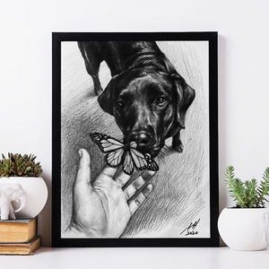 May include: Black and white pencil drawing of a black Labrador Retriever looking at a butterfly on a hand. The drawing is framed in a black frame.