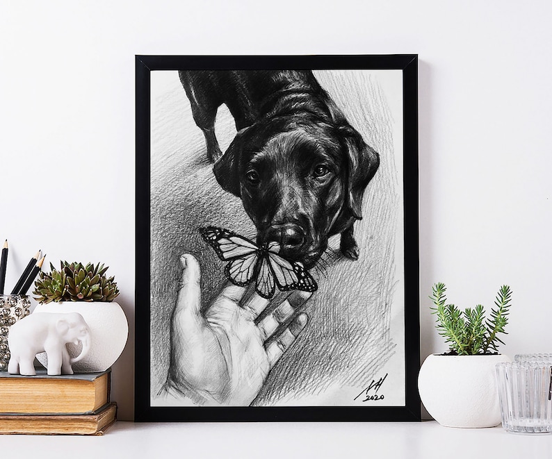 May include: Black and white pencil drawing of a black Labrador Retriever looking at a butterfly on a hand. The drawing is framed in a black frame.