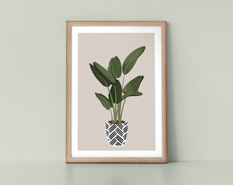 Rubber Plant in Monochrome Pot Modern Scandinavian Style Wall Art Print by Tulip House Studio