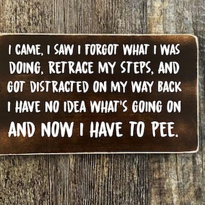 I Came I Saw I Forgot What I Was Doing, rustic sign, farmhouse sign, funny quote sign