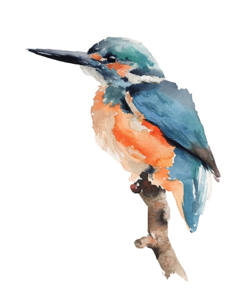 Animal Bird Watercolor Painting Home Decor Wall Art Kingfisher Print