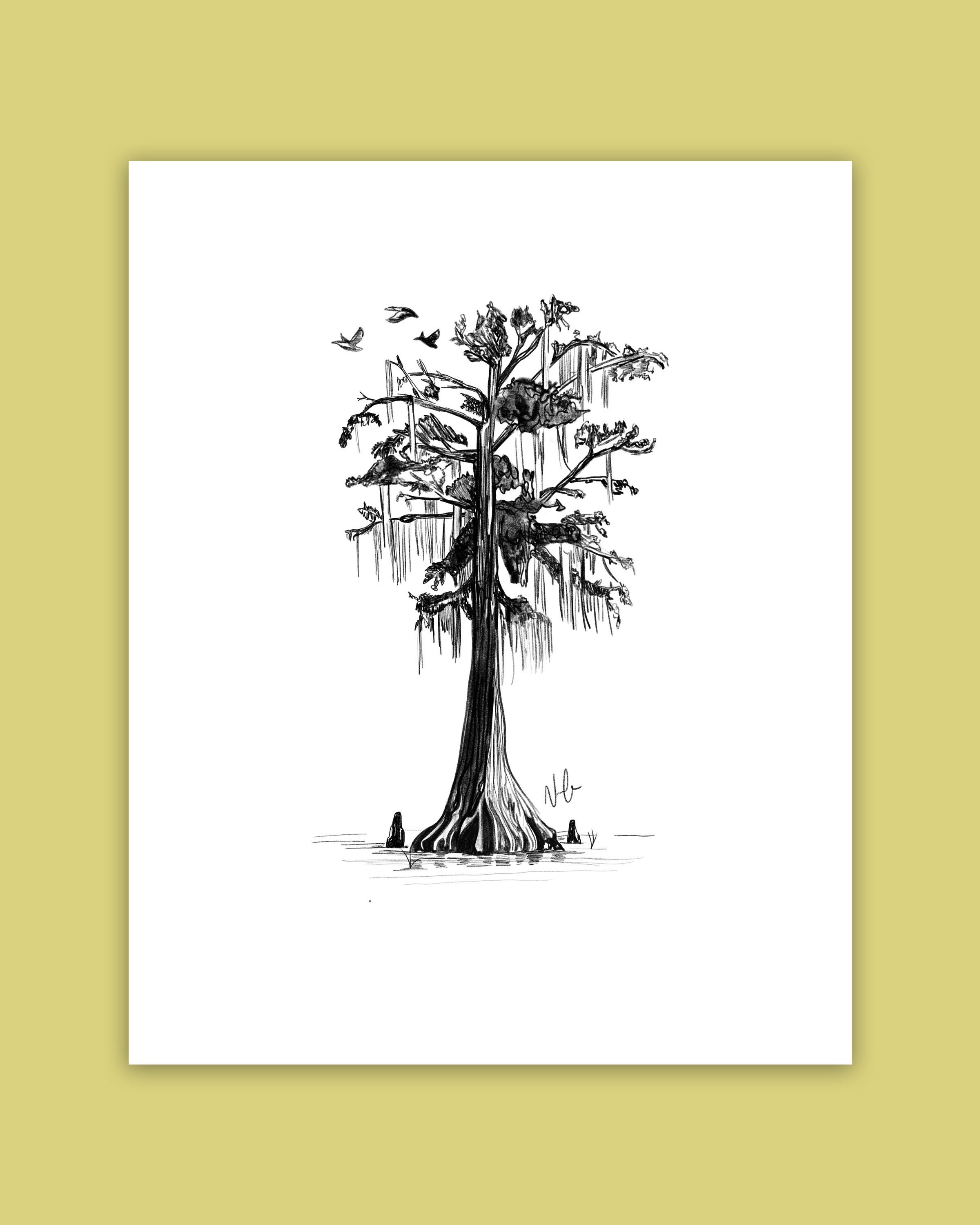 How To Draw Cypress Trees - Stealking