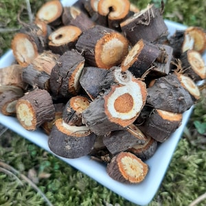 May include: A white ceramic bowl filled with dried, brown, and orange root bark slices. The bark is arranged in a random pattern and has a natural, rustic appearance.