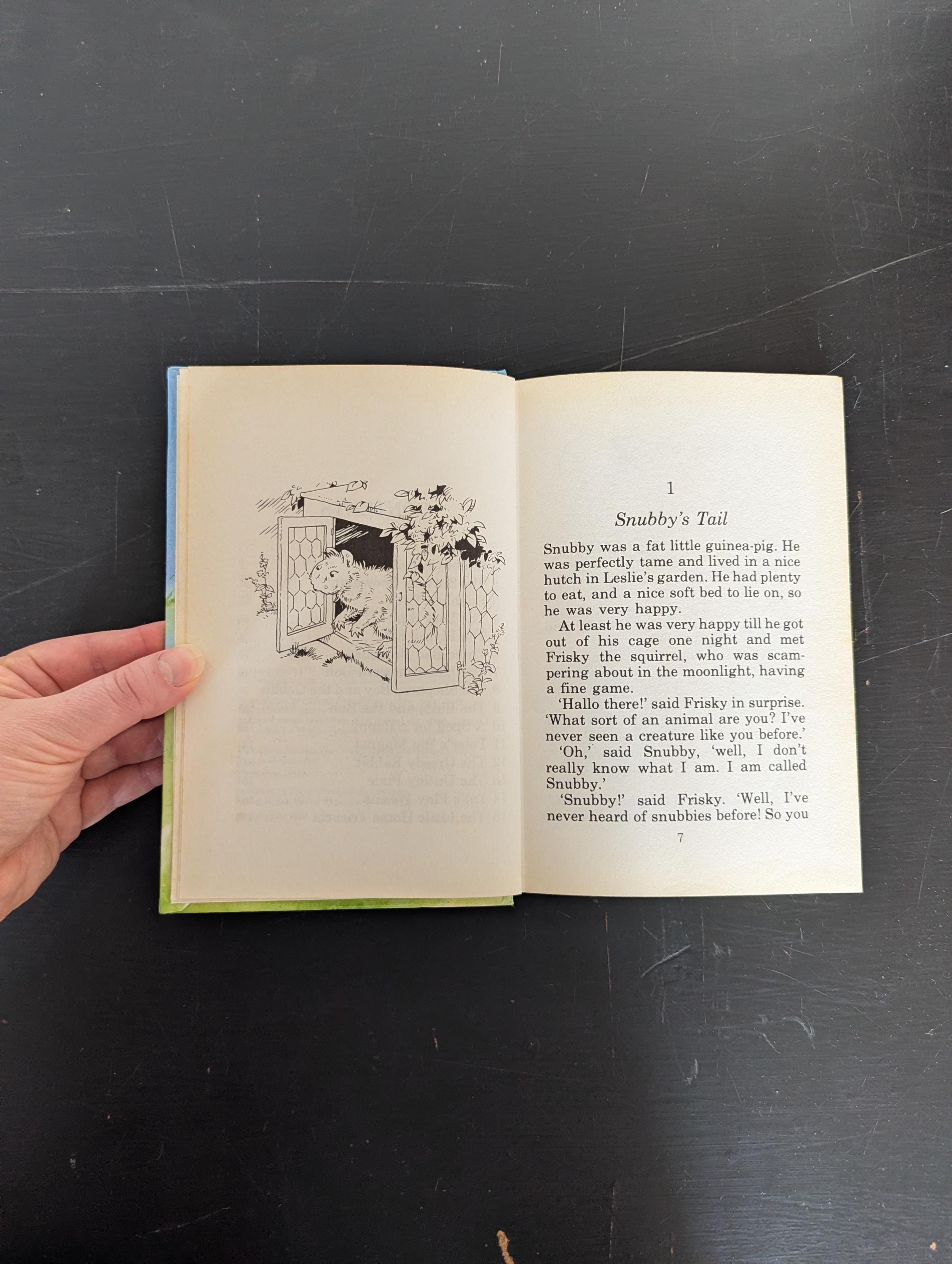 The Greedy Rabbit The Greedy Rabbit by Enid Blyton - Vintage Books Australia - Etsy Australia