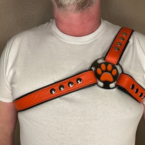 Puppy Themed 3 Strap Harness