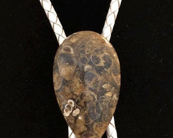 Turritella Stone Bolo Tie on WHITE Braided Leather with Silver Tone Tips