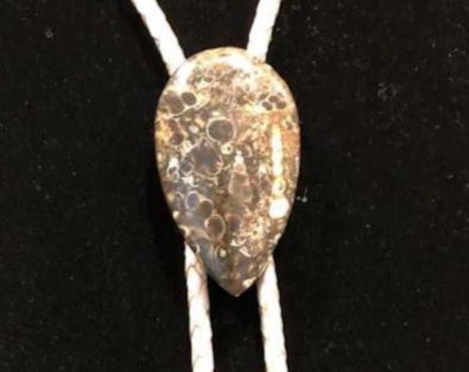 Turritella Stone Bolo Tie on SILVER Braided Leather with Silver Tone Tips