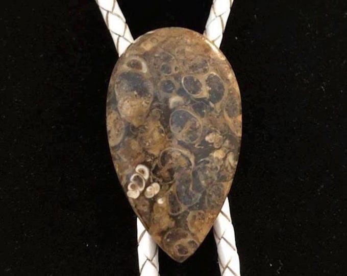 Turritella Stone Bolo Tie on WHITE Braided Leather with Silver Tone Tips
