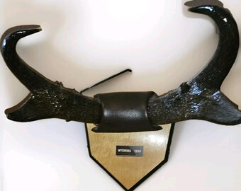 1990 Wyoming Pronghorn Antelope Horn Mount Trophy Plaque Cabin. Taxidermy