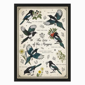 May include: Framed art print featuring illustrations of magpies with botanical elements. The artwork includes text that reads "The Lore of the Magpie" and various phrases like "One for sorrow" and "Two for joy". The print is in a black frame.