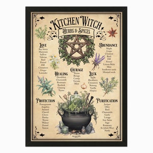 Puede incluir: Una ilustración de estilo vintage de un pentagrama rodeado de hierbas y especias, etiquetadas con sus usos en la brujería de cocina. Las categorías incluyen amor, abundancia, coraje, curación, suerte, protección y purificación. El texto dice "Kitchen Witch Herbs & Spices".