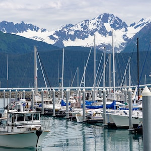 May include: A white boat with a blue stripe is docked in a harbor with a view of snow-capped mountains in the background.  Many other boats are docked in the harbor.