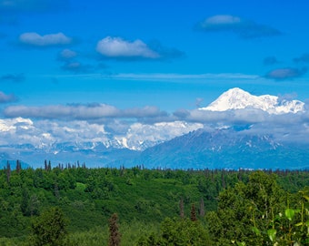 Mt. Denali with landscape