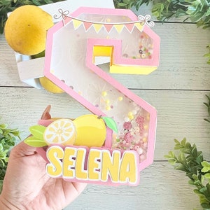 Lemonade 3D Shaker Letters / Lemonade Birthday decor / Lemonade party decor / Lemon 3D Shaker Letters / Lemon party decor / Lemon Birthday