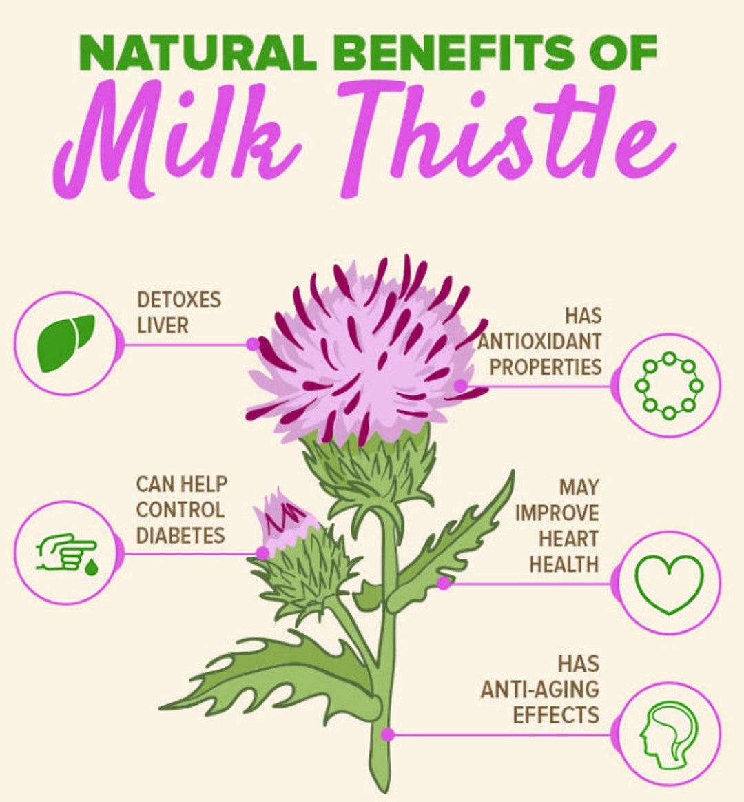 Milk Thistle Capsules 100 Organic Dr Sebi All Natural NONGMO Etsy