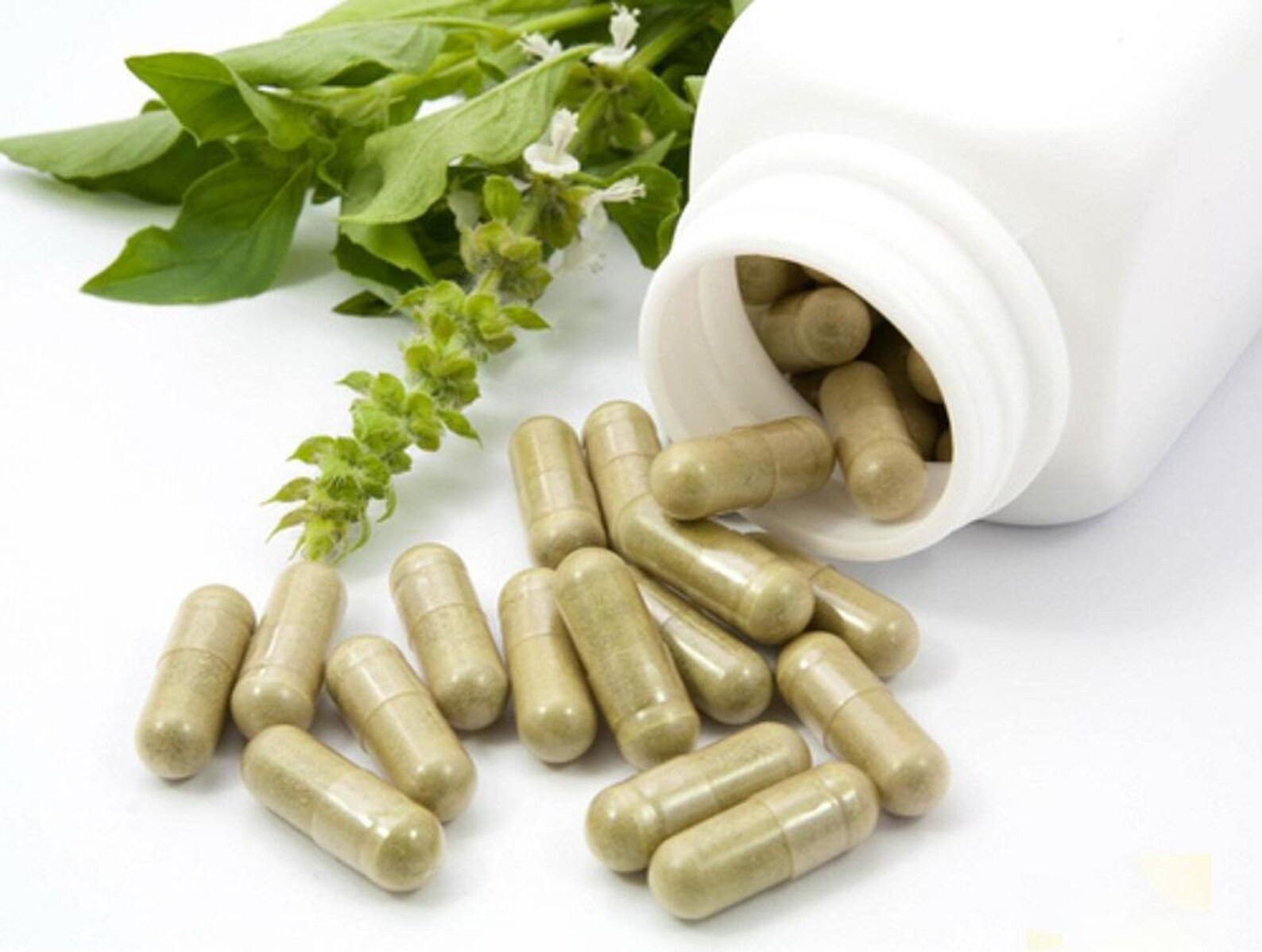 Sage Capsules Leaf Powder 100 Organic Dr Sebi Etsy