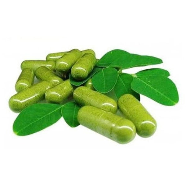 Gélules de Poudre de Moringa 100% BIO Dr. Sebi Moringa Oleifera