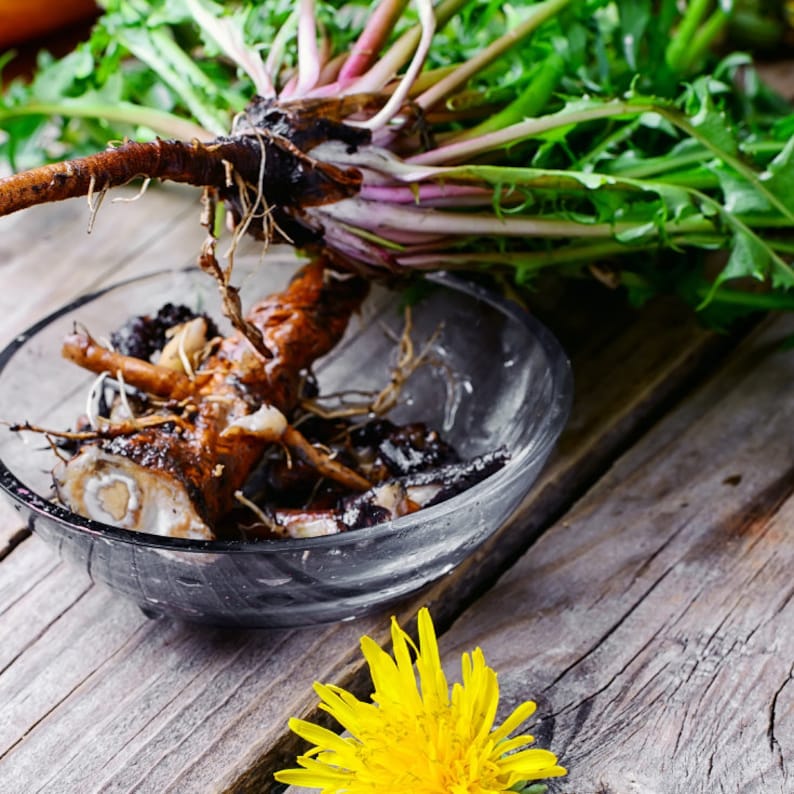 Dandelion Root Capsules 100 Organic NONGMO Dr Sebi All Etsy