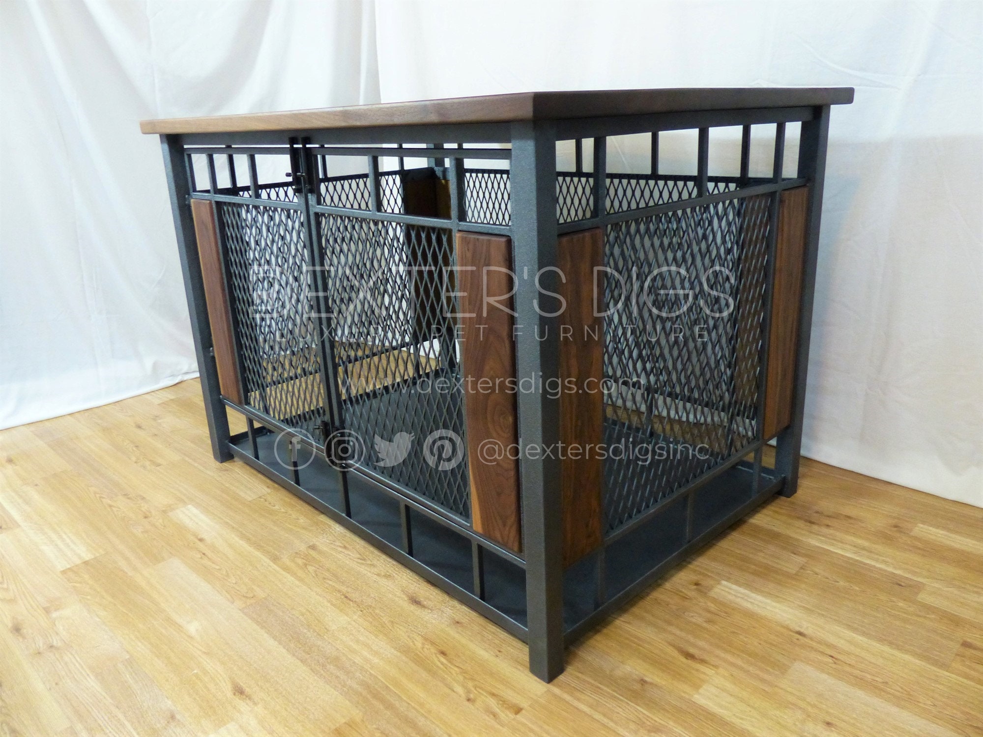 modern dog kennel