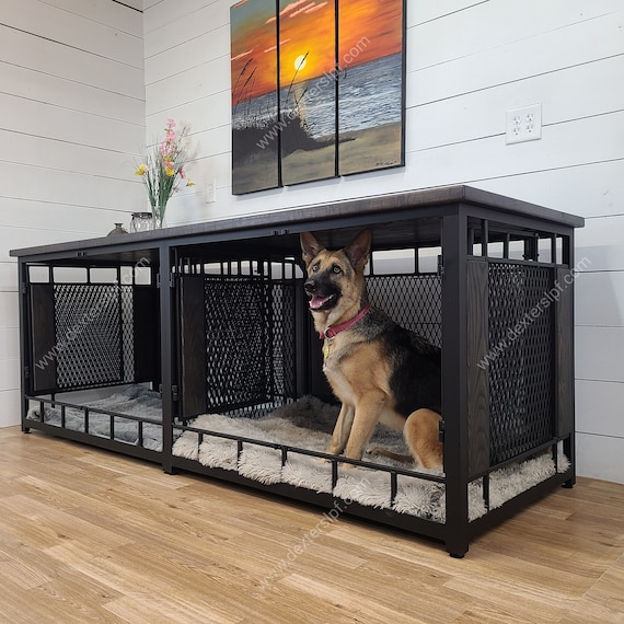 10 SIMPLE AND FUN INDOOR GAMES FOR YOUR DOG - Law's Country Kennel