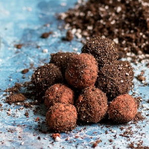 Native Tree & Wildflower Seed Bombs - PDF TUTORIAL - How to make seed balls - Throw n Grow DIY Do it yourself - Garden, Ecofriendly
