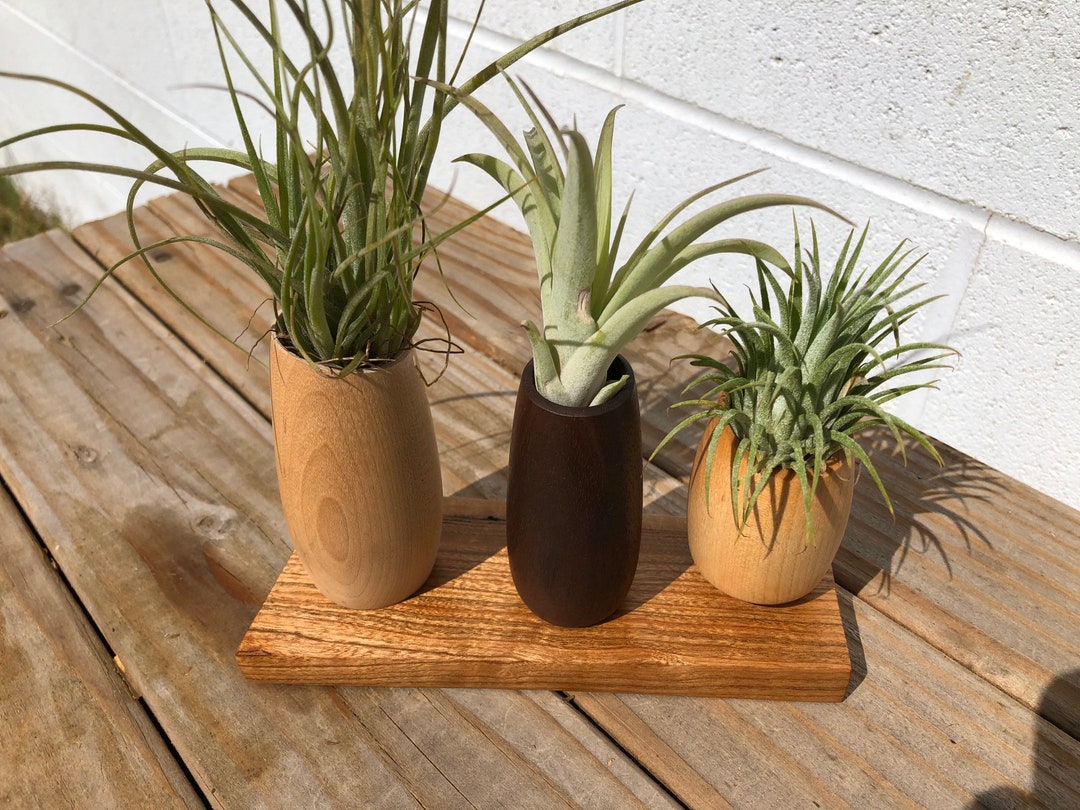 Air Plant Vase, Air Plant Holder, Eco Friendly Gifts, Gardener Gift for