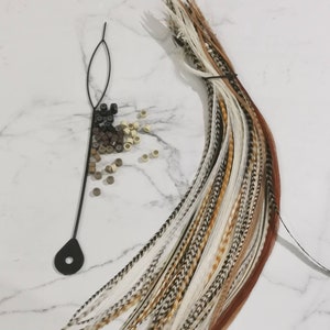 May include: A bundle of brown, white, and black feathers with a black string tied around them. There are also a variety of small, round, brown and beige beads scattered on a white surface.