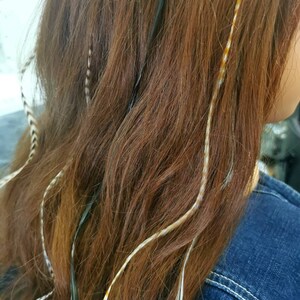 May include: Brown hair with white and gold feather hair extensions. The extensions are woven into the hair and are visible throughout the length of the hair.