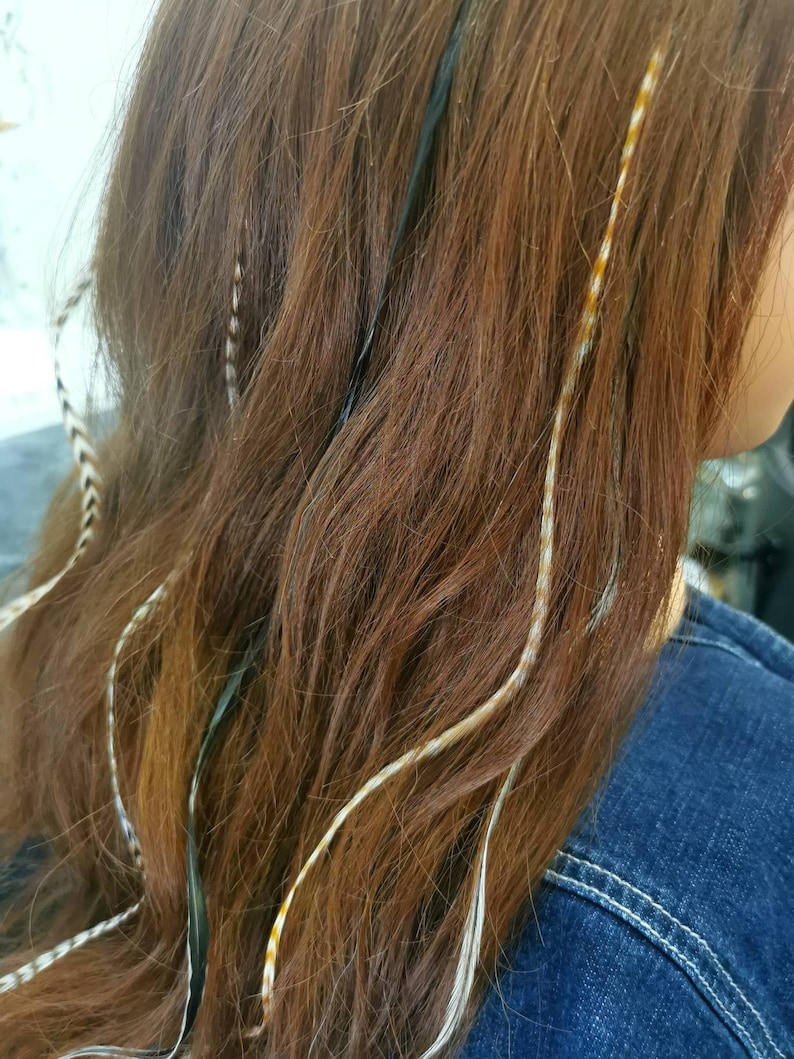 May include: Brown hair with white and gold feather hair extensions. The extensions are woven into the hair and are visible throughout the length of the hair.