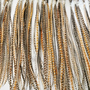 May include: A collection of long, brown, black, and white feathers with a natural, rustic look. The feathers are arranged in a row and are ready to be used for crafting or decorating.