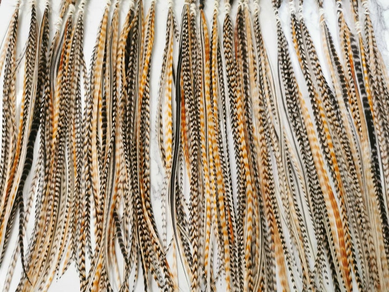 May include: A collection of long, brown, black, and white feathers with a natural, rustic look. The feathers are arranged in a row and are ready to be used for crafting or decorating.