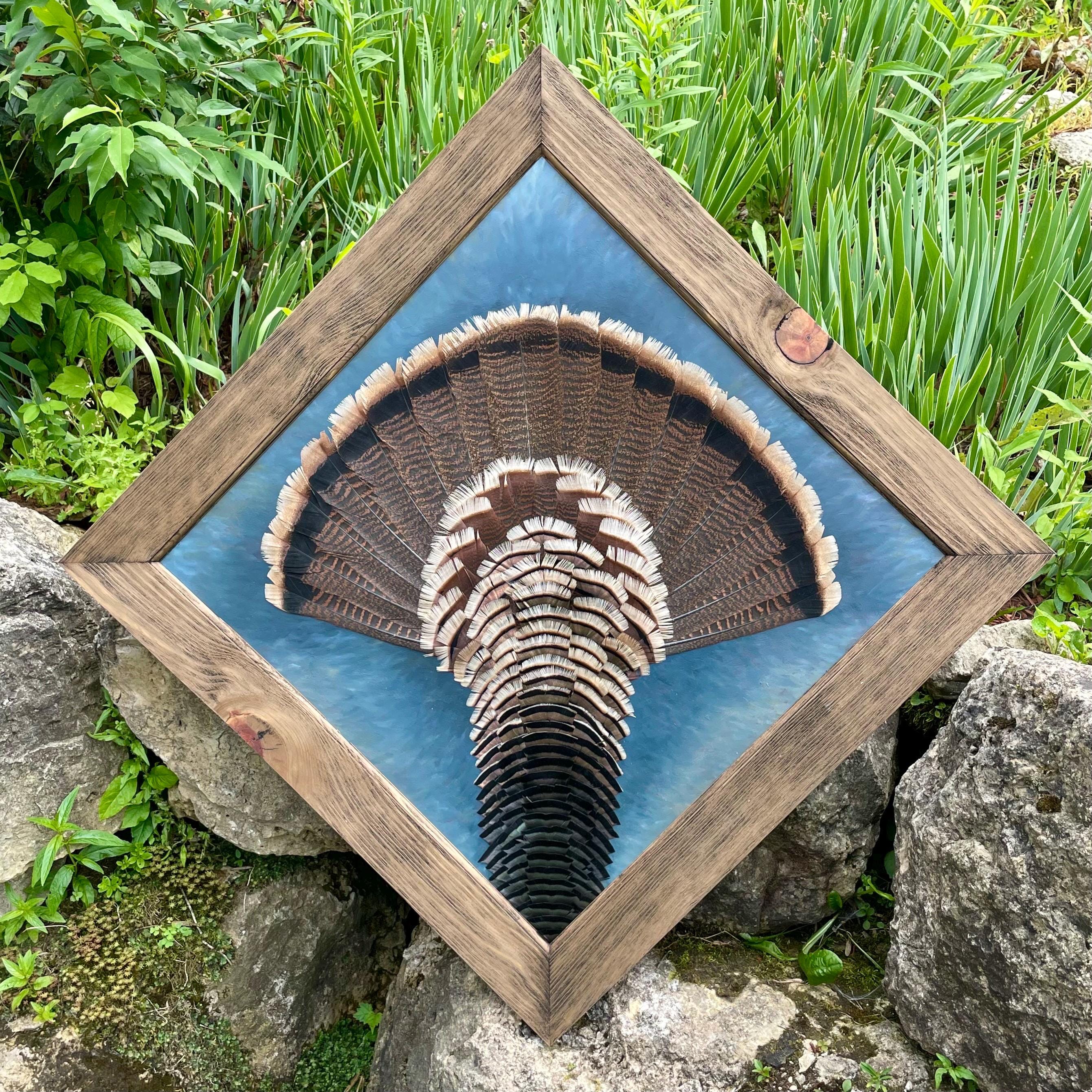 Prairie Storm Cloud - Feather Art -wild Turkey - Etsy